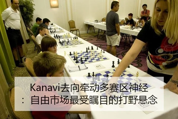 Kanavi去向牵动多赛区神经：自由市场最受瞩目的打野悬念